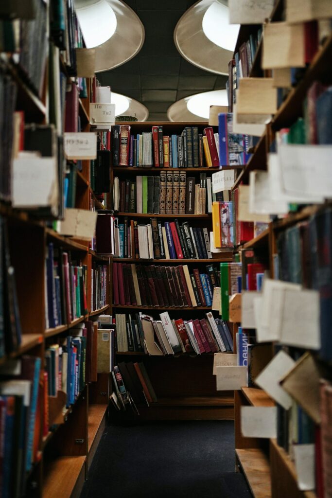 Libros organizados en una biblioteca para apoyar la catalogación bibliográfica